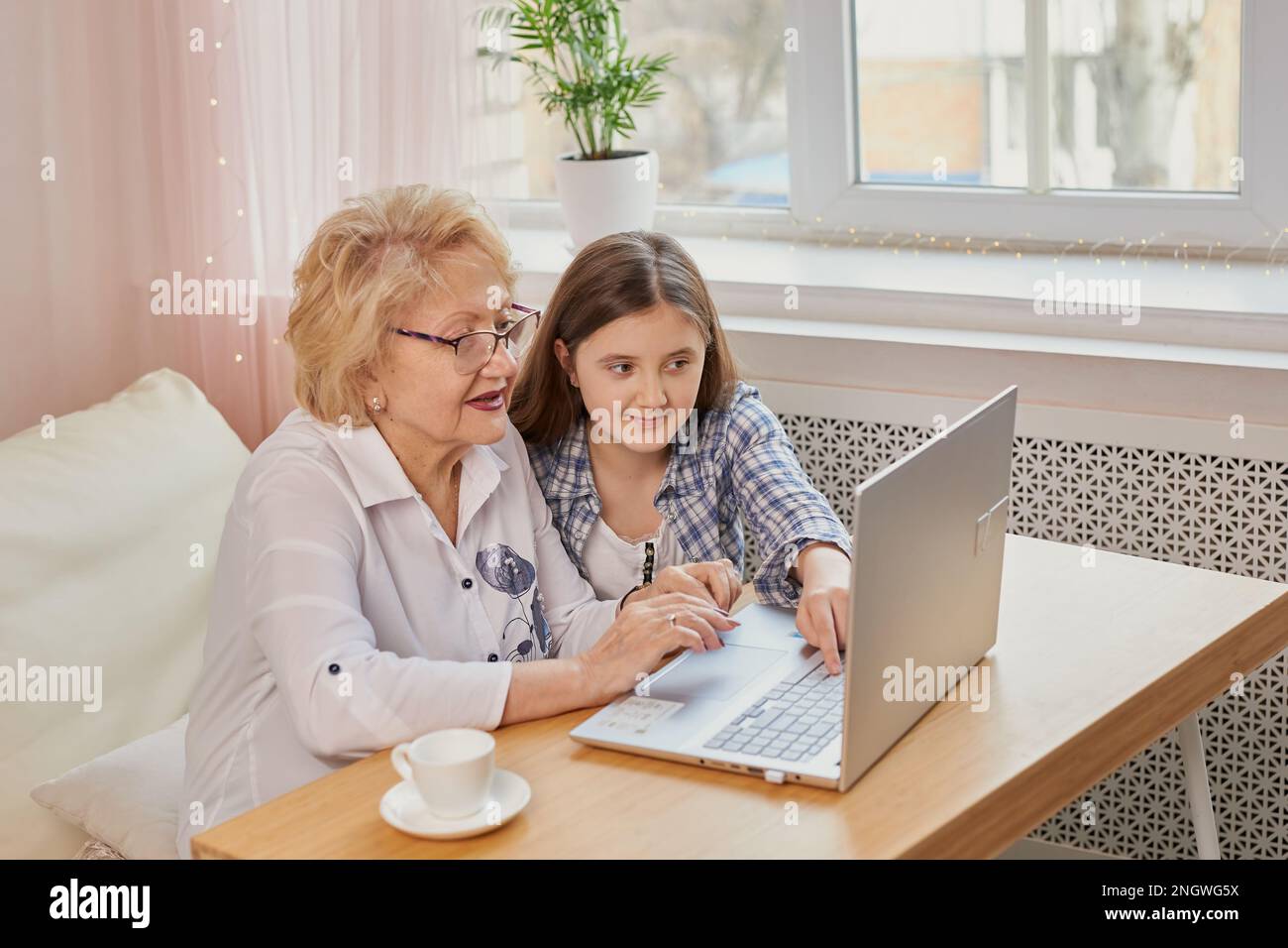 Nipote adulta che insegna alla nonna anziana di usare il computer portatile Foto Stock