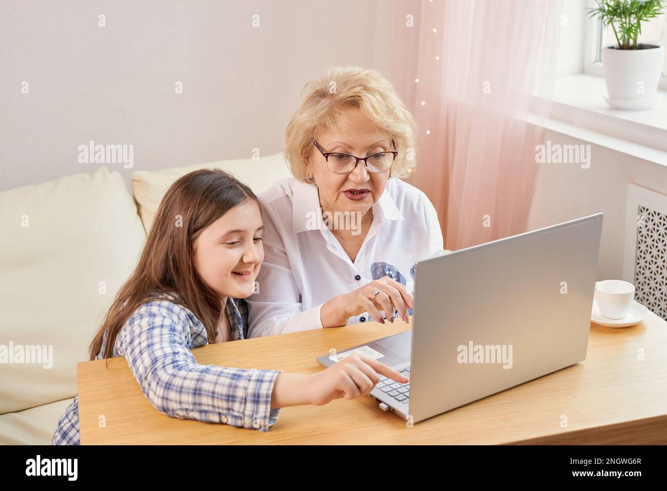 Nipote adulta che insegna alla nonna anziana di usare il computer portatile Foto Stock