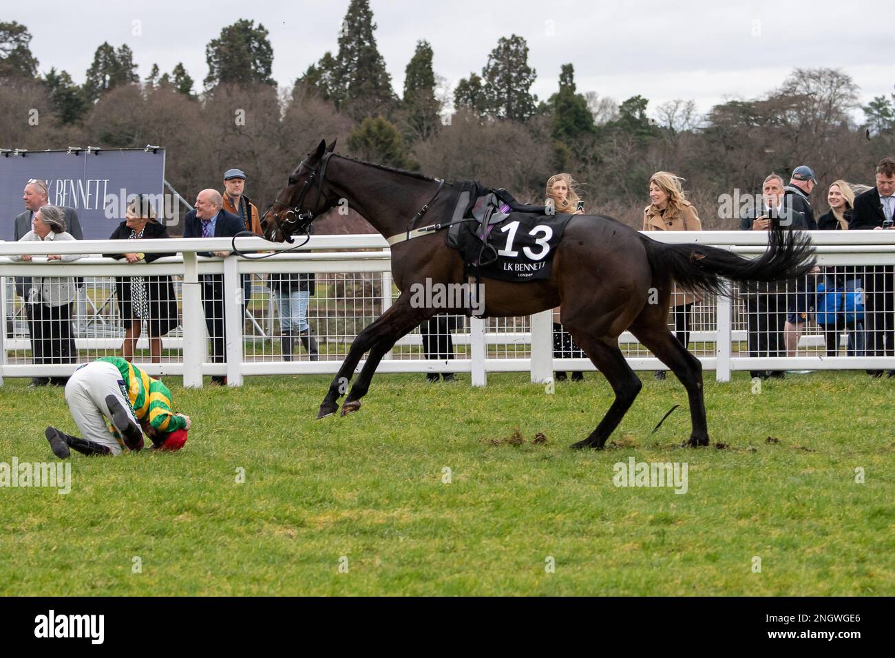 Ascot, Berkshire, Regno Unito. 18th febbraio, 2023. Jockey Aidan Coleman è stato sseduto dal cavallo Regal Encore (n. 13) dopo un salto nel LK Bennett Swinley handicap Steeple Chase all'ippodromo Ascot su Betfair Ascot Chase Raceday. Credit: Maureen McLean/Alamy Live News Foto Stock