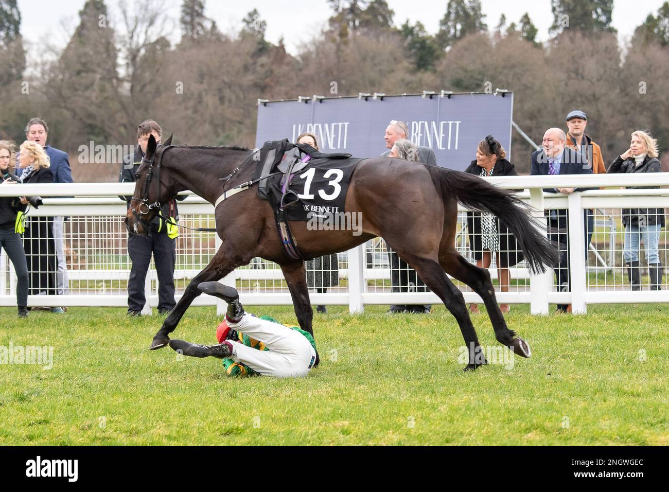 Ascot, Berkshire, Regno Unito. 18th febbraio, 2023. Jockey Aidan Coleman è stato sseduto dal cavallo Regal Encore (n. 13) dopo un salto nel LK Bennett Swinley handicap Steeple Chase all'ippodromo Ascot su Betfair Ascot Chase Raceday. Credit: Maureen McLean/Alamy Live News Foto Stock