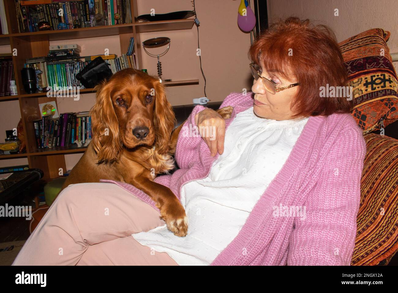 donna anziana di 73 anni e il suo cane cocker spaniel guardarsi a distanza ravvicinata con amore. Foto Stock
