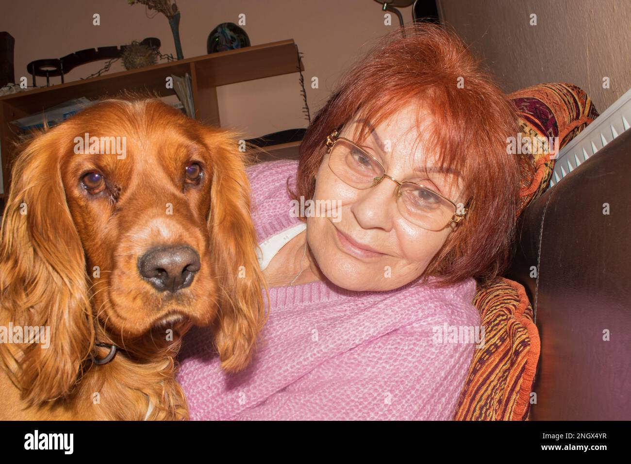 donna anziana di 73 anni e il suo cane cocker spaniel guardarsi a distanza ravvicinata con amore. Foto Stock