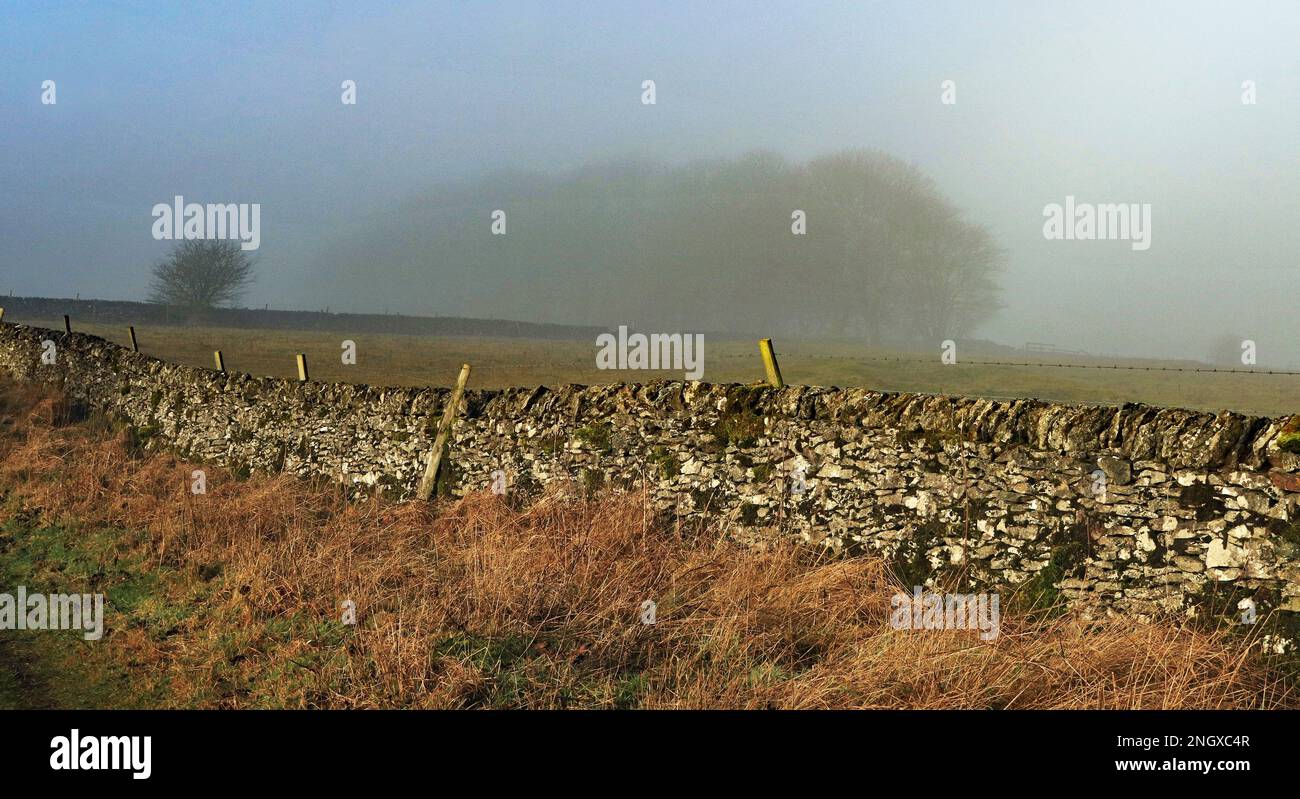 E' un inverno freddo e misteriosa mattina lungo il sentiero verso Flagg e Monyash dove il muro di pietra a secco è messo in luce dal sole che sorge. Foto Stock