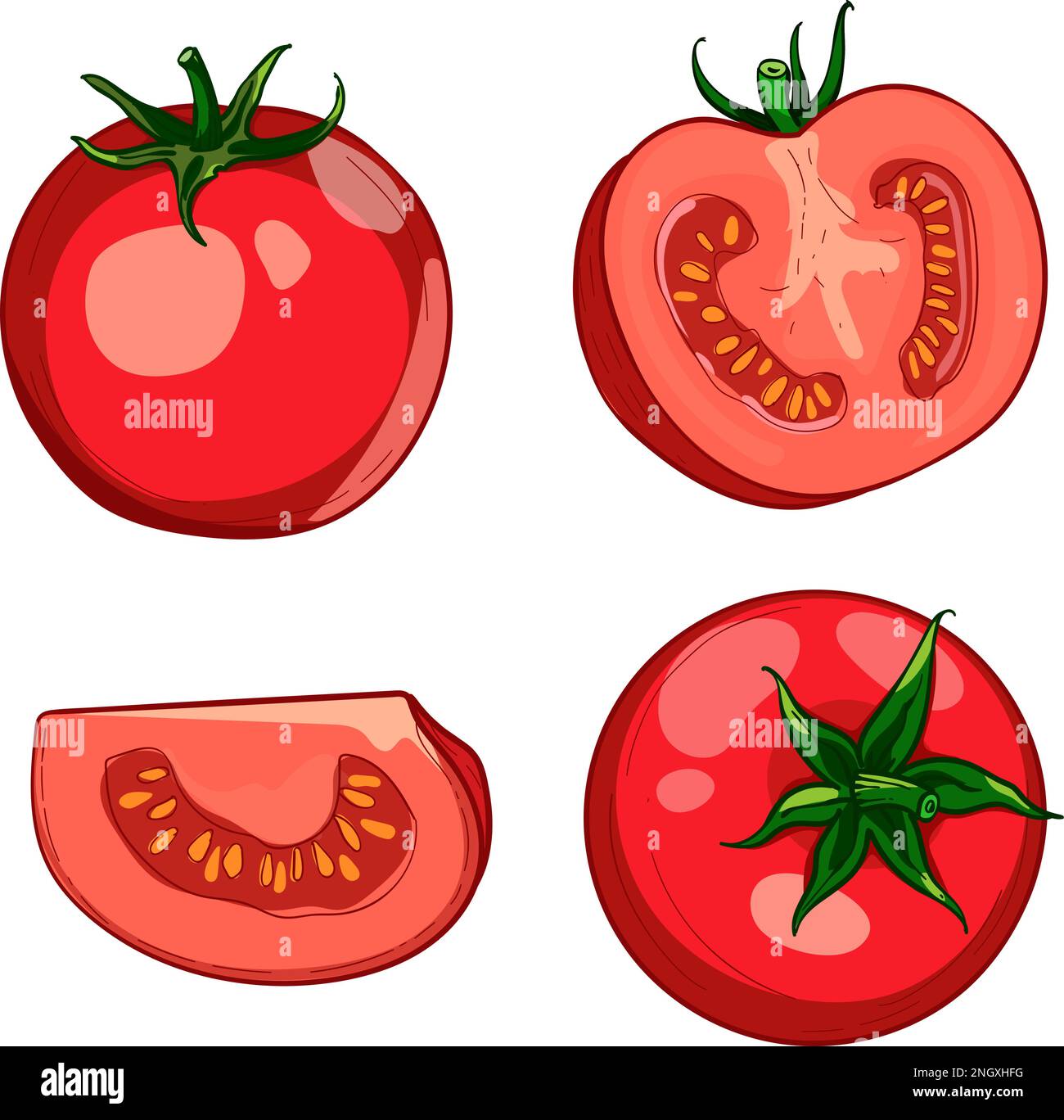 Pomodoro rosso colorato disegnato a mano. Una serie di bozzetti con pomodori a fette, una fetta di pomodoro . L'illustrazione vettoriale è isolata su sfondo bianco. Illustrazione Vettoriale