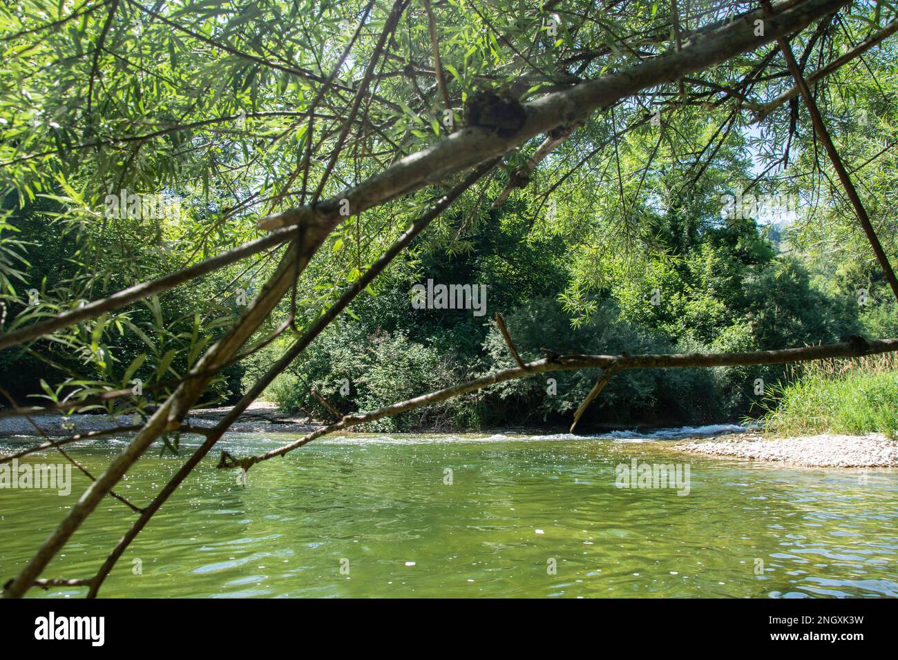 Blühende Natur am Grenzfluss Doubs Foto Stock