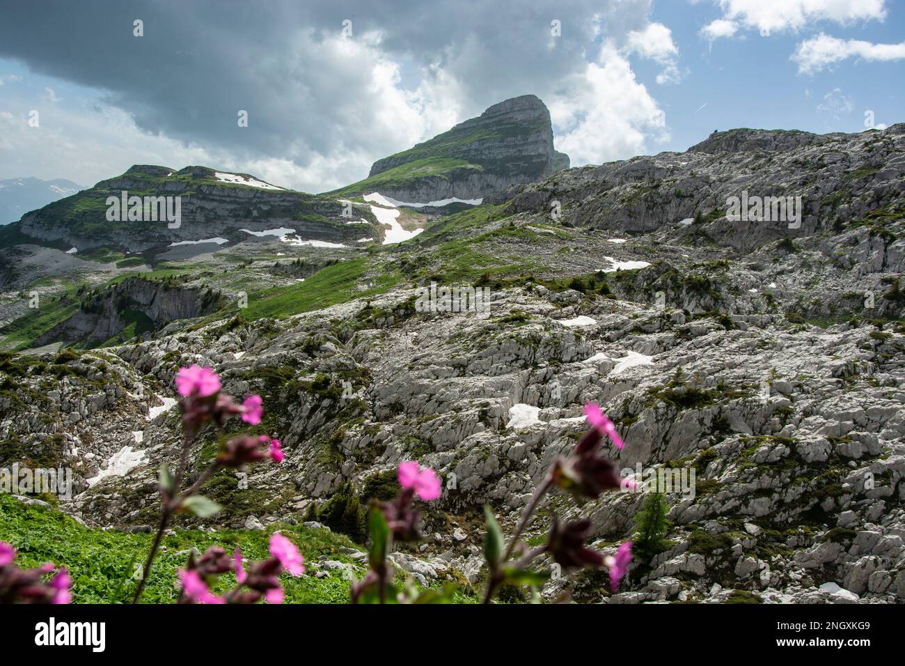 Blick auf den Tour d'ai im gleichnamigen Naturschutzgebiet oberhalb von Leysin Foto Stock