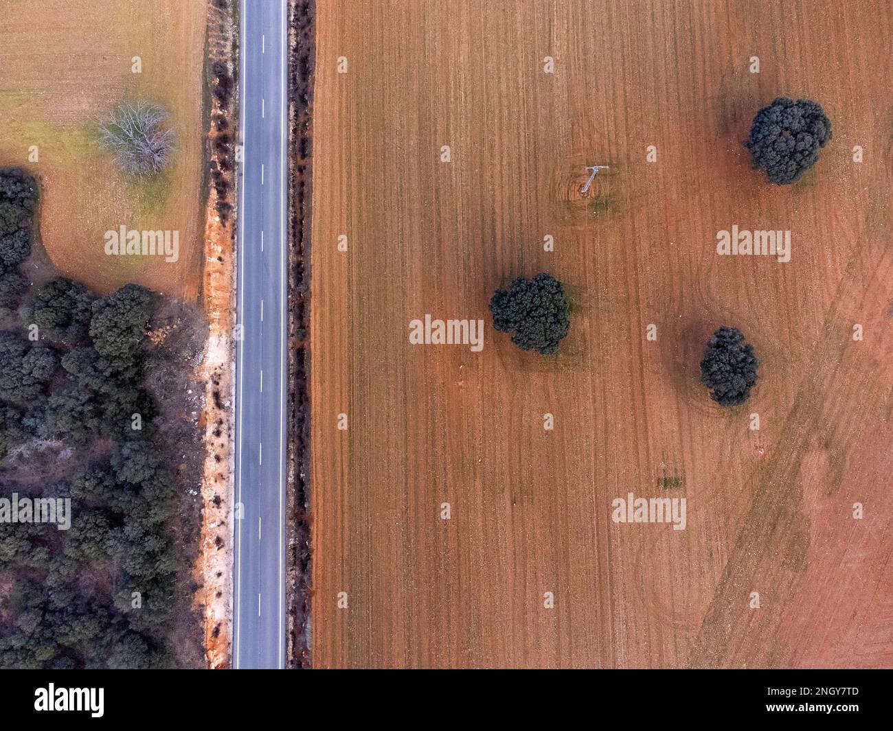 vista zenithal di una strada diritta che corre tra campi arati di terra rossa con alcuni lecci, orizzontale Foto Stock