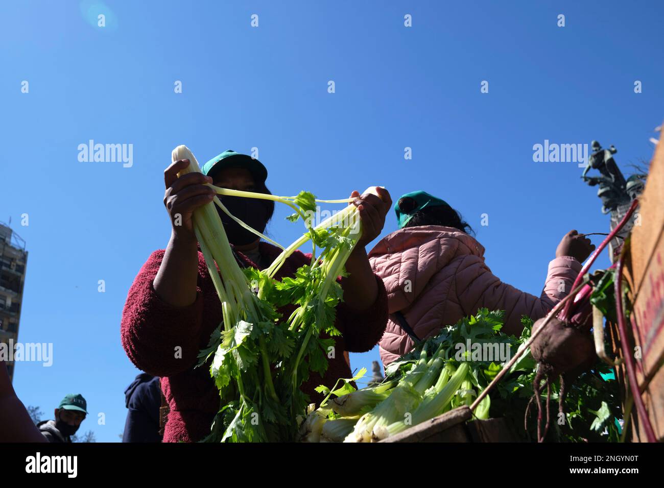 Buenos Aires, Argentina, 21 settembre, 2021: UTT, Union de Trabajadores de la Tierra, Land Workers Union, ha dato gratuitamente cibo biologico, frutta e verdura a. Foto Stock