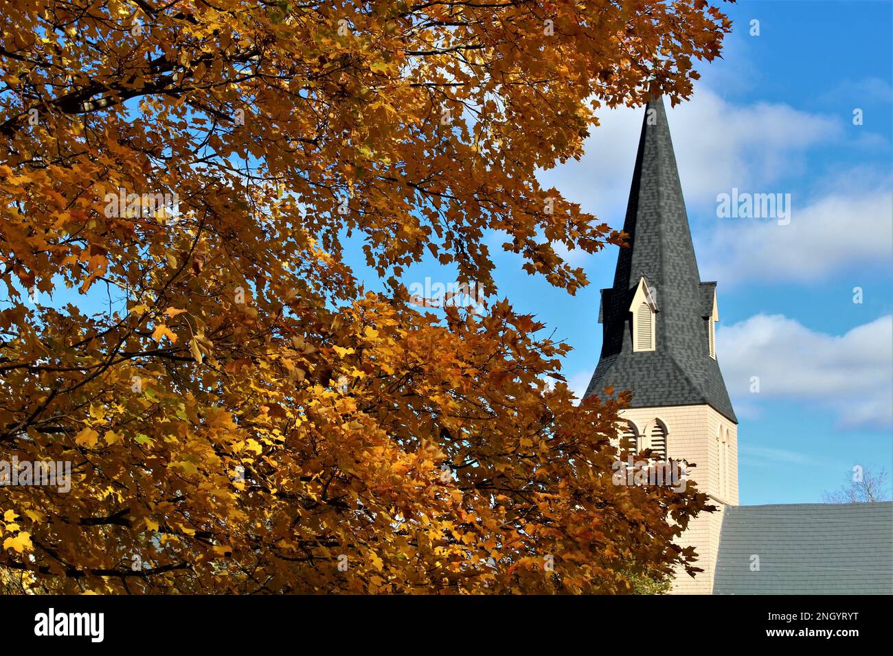 Sackville, New Brunswick, in autunno. Chiesa campanile dietro l'albero deciduo autunnale con carta da parati di foglie arancioni colorate, sfondo con copia, spazio di testo Foto Stock