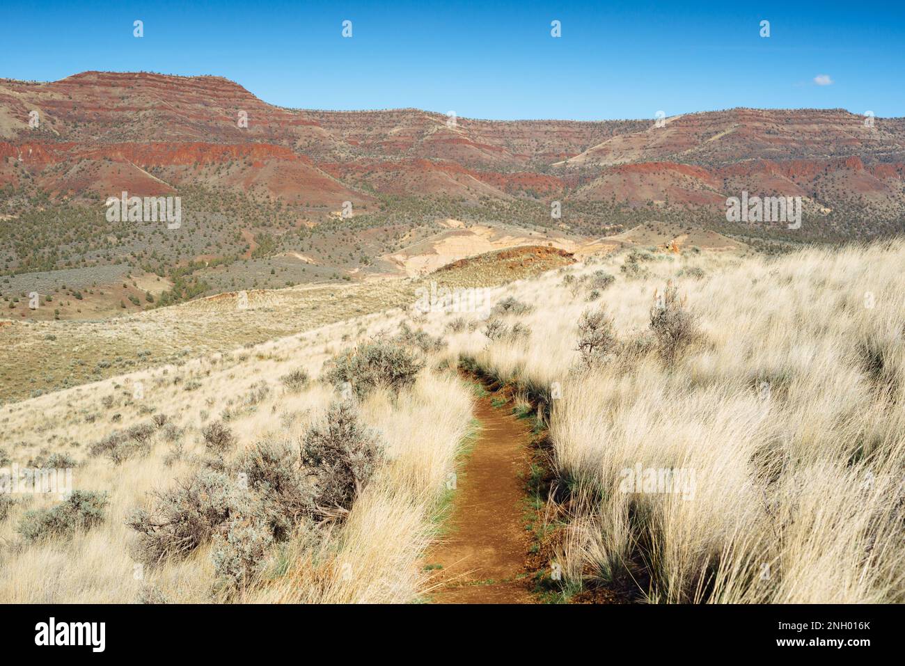 The Painted Hills of John Day Fossil Bed National Monument, Oregon Foto Stock