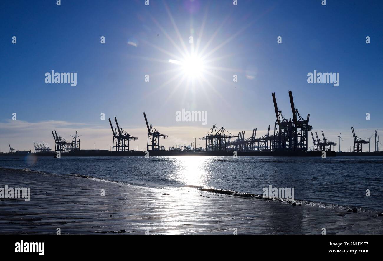 Amburgo, Germania. 19th Feb, 2023. Le gru a portale per container al terminale Burchardkai (CTB) di Hamburger Hafen und Logistik AG (HHLA) sono visibili durante la bassa acqua dell'Elba. Il marketing del porto di Amburgo fornisce informazioni su 20.02.2023 sulla gestione e lo sviluppo del traffico del porto di Amburgo nel 2022. Credit: Christian Charisius/dpa/Alamy Live News Foto Stock