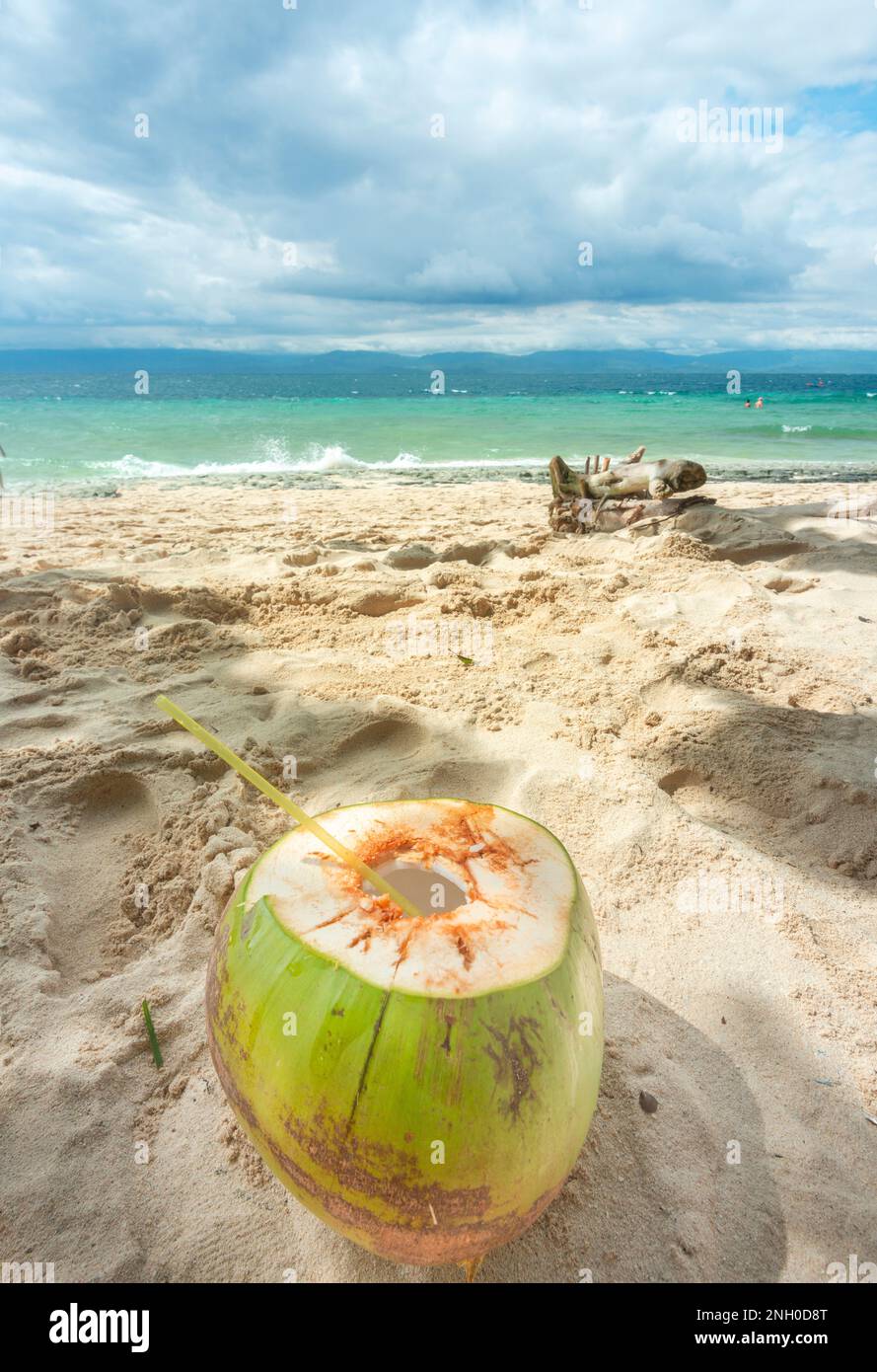 Aperto di fresco per bere acqua di cocco sana. All'ombra di una pigra spiaggia tropicale nelle isole Philppines, con sabbia bianca, fine, mare blu chiaro Foto Stock