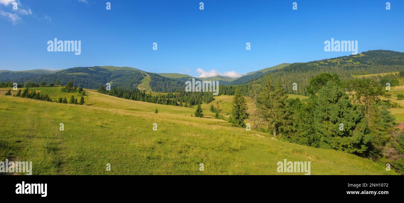 paesaggio di campagna con prato in montagna. ampio paesaggio rurale con campi verdi e colline boscose in una mattinata estiva Foto Stock