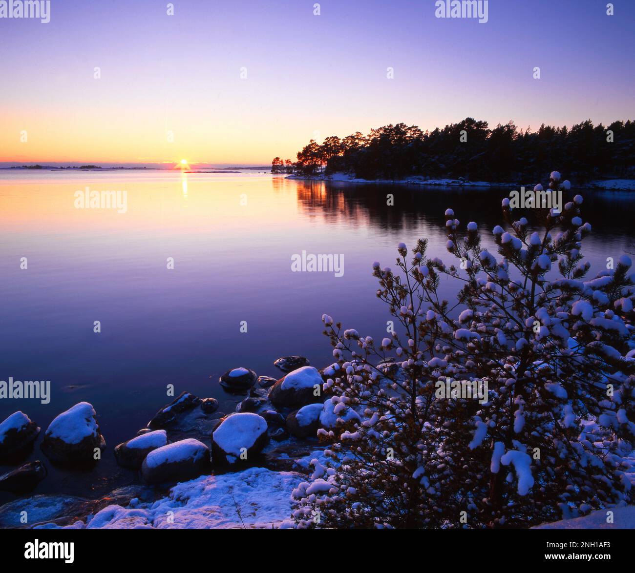 Inverno a Stendorren Sodermanland Svezia Foto Stock