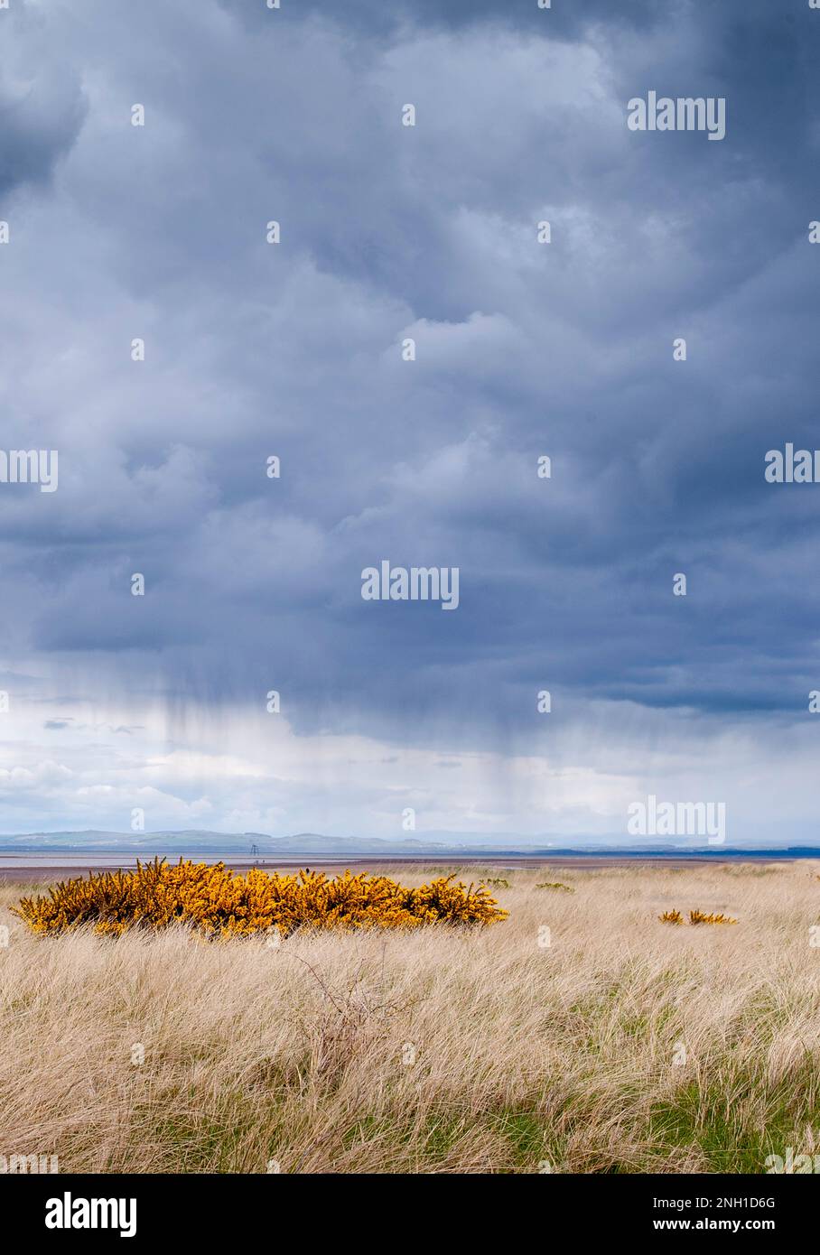 Vista sulle erbe di Solway Firth con una tempesta di pioggia lontana e cielo nuvoloso Foto Stock