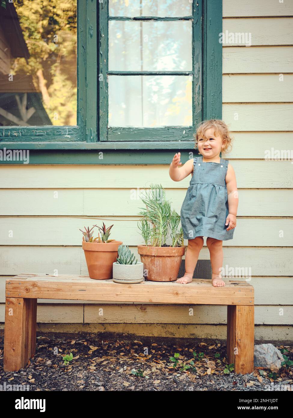 Toddler in piedi sulla panca con le piante in vaso nel cortile della fattoria. Foto Stock