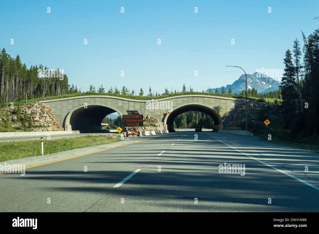 Alberta, Canada - Giugno 28 2021 : Animal Crossing Bridge sulla Trans Canada Highway, Banff National Park. Foto Stock
