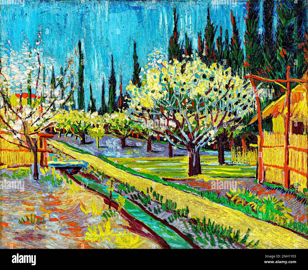 Frutteto delimitato da cipressi (1888) di Vincent Van Gogh. Originale della Yale University Art Gallery. Foto Stock