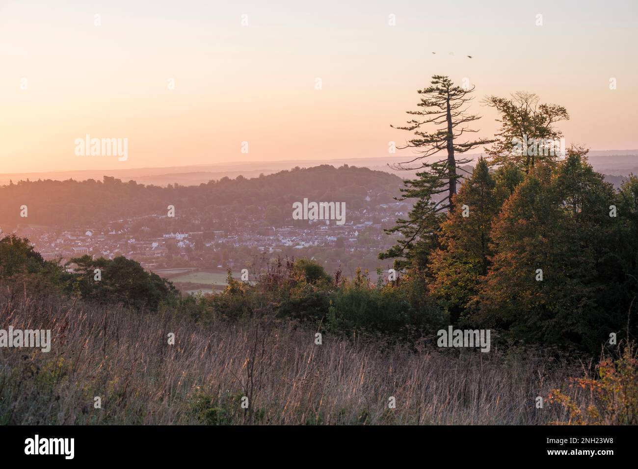 Vista elevata della città inglese di Dorking all'alba dalle colline del Surrey Foto Stock