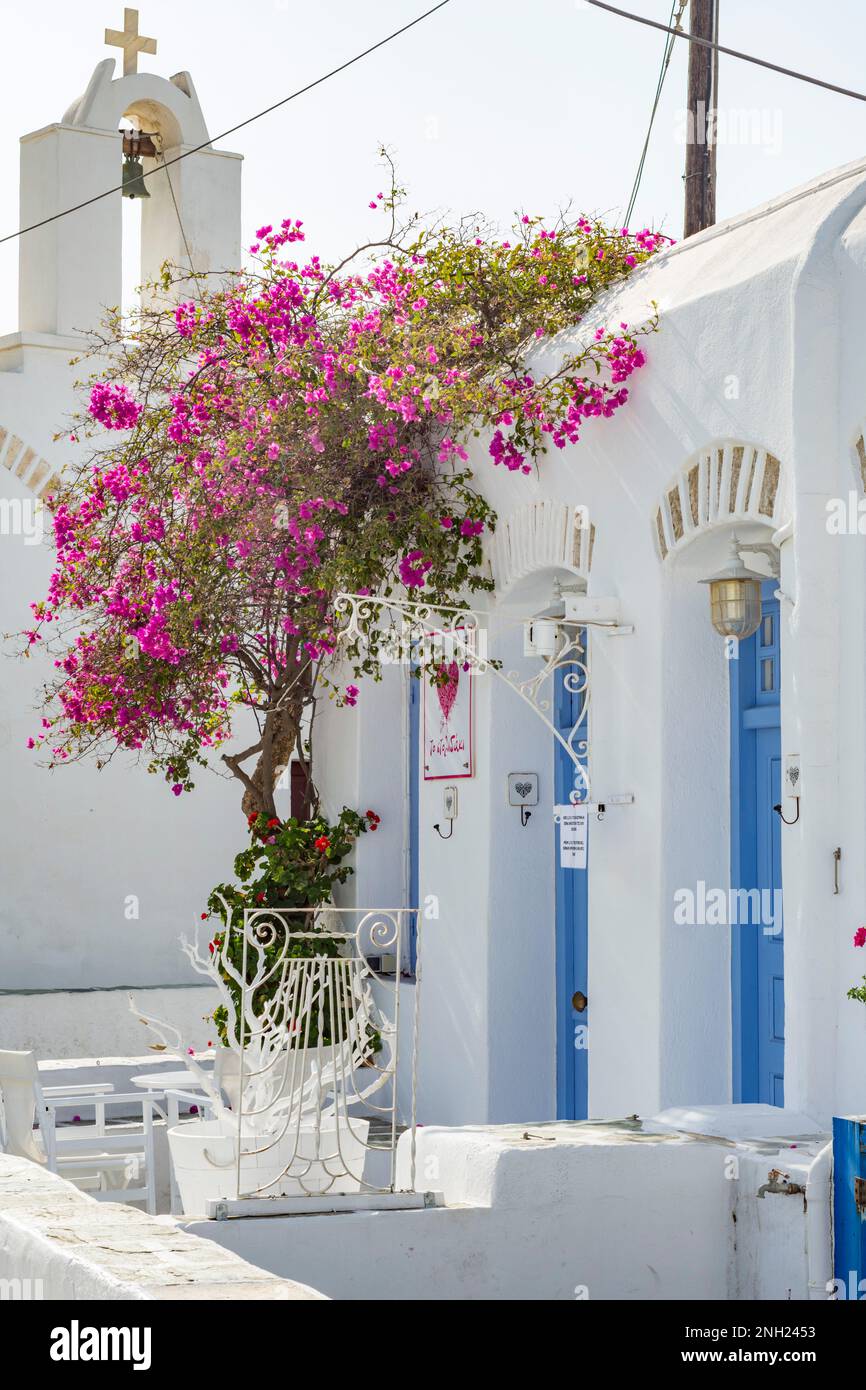 Un caratteristico vicolo nel pittoresco villaggio di Chora, Folegandros Foto Stock