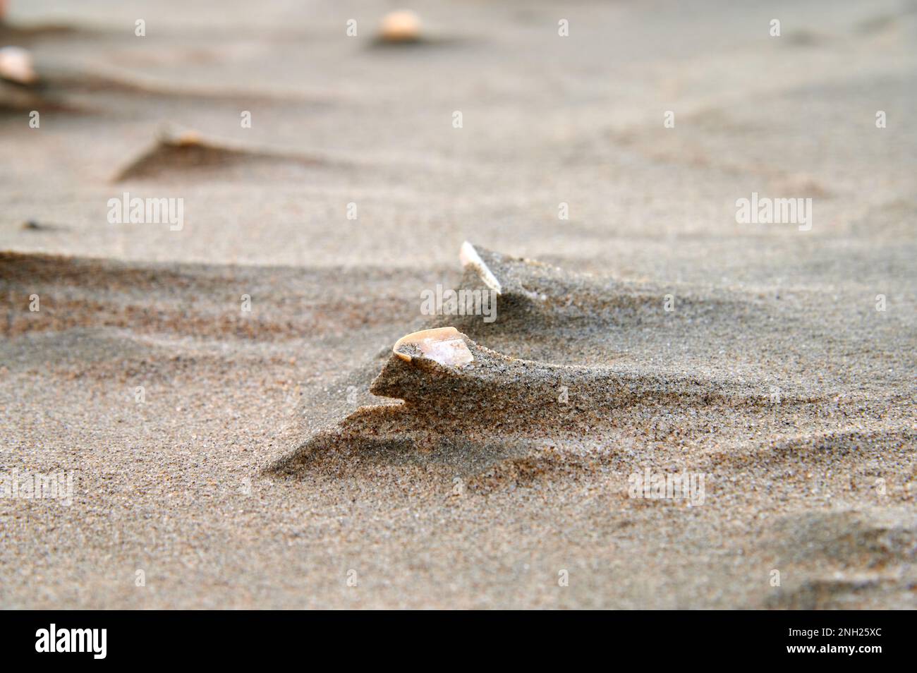 Scultura di sabbia creata dal vento sulla spiaggia Foto Stock