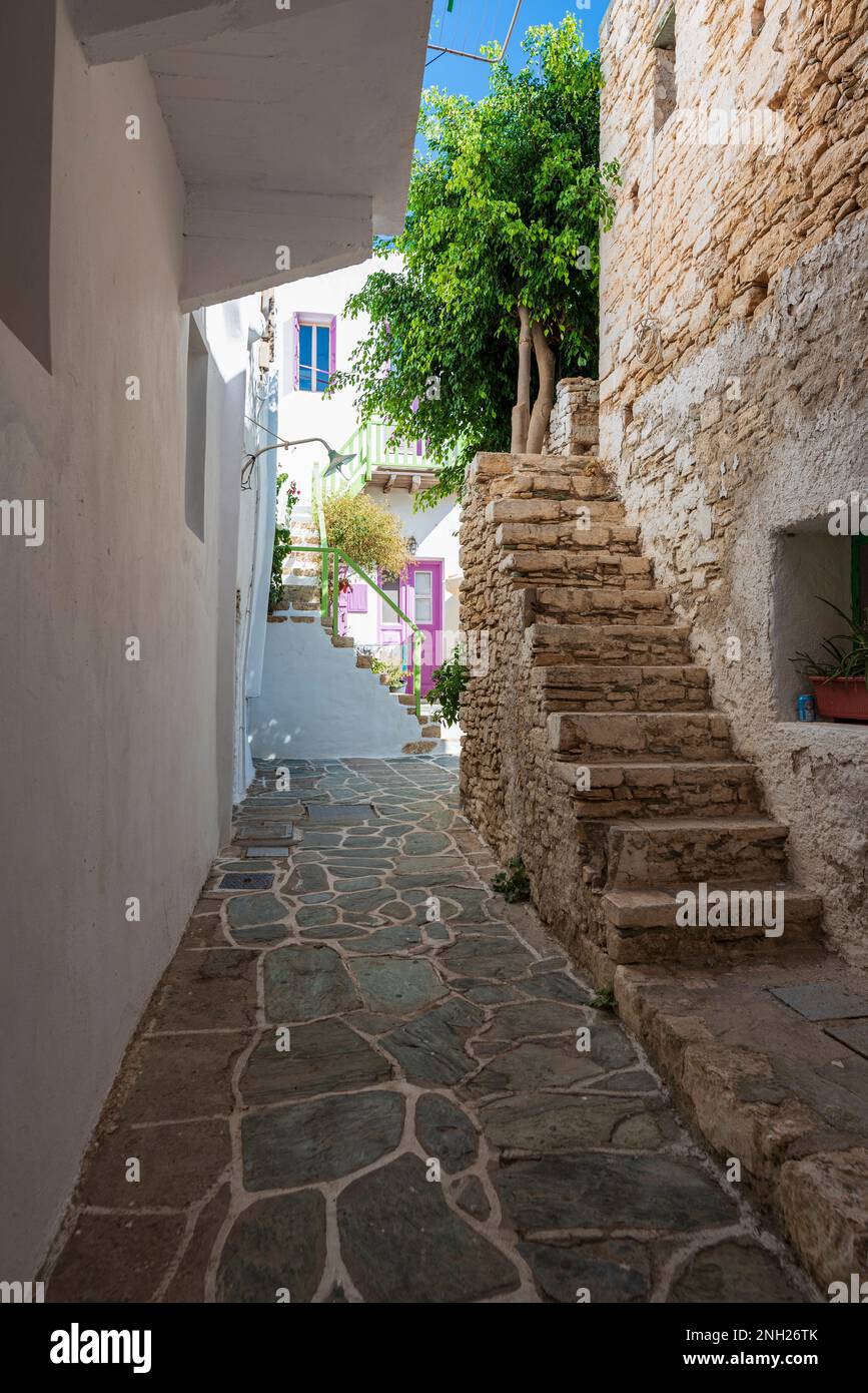 Caratteristico vicolo con scalinata in pietra nel villaggio di Chora, Folegandros Foto Stock