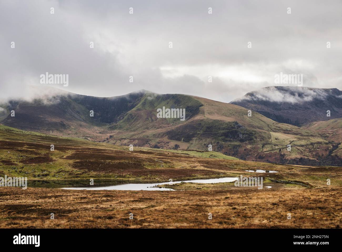 Vista a sud attraverso la valle di Nantlle fino a Mynydd tal-y-mignedd sul Nantlle Ridge nel Parco Nazionale di Snowdonia da Y FON, Gwynedd, Galles, Regno Unito, Gran Bretagna Foto Stock