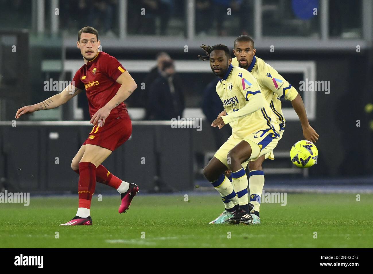 Adrien Tameze di Hellas Verona F.C. durante il 23th° giorno del
