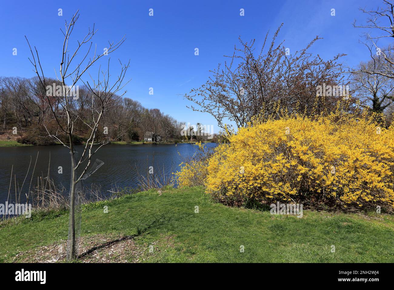 Frank Melville Memorial Park Setauket Long Island New York Foto Stock