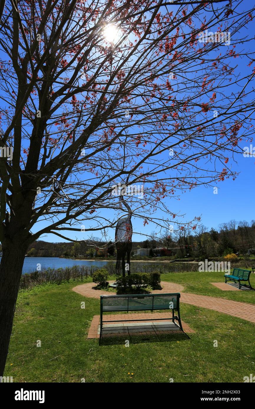 Heron Park Centerport Long Island New York Foto Stock