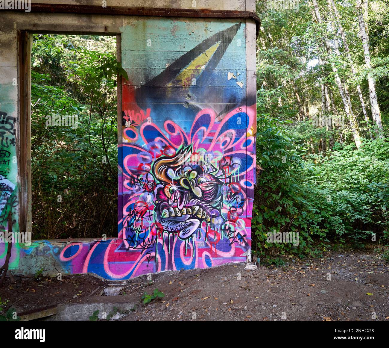 Un brillante cartone rosa graffiti su un muro di un edificio abbandonato tra uno sfondo di foresta. Foto Stock