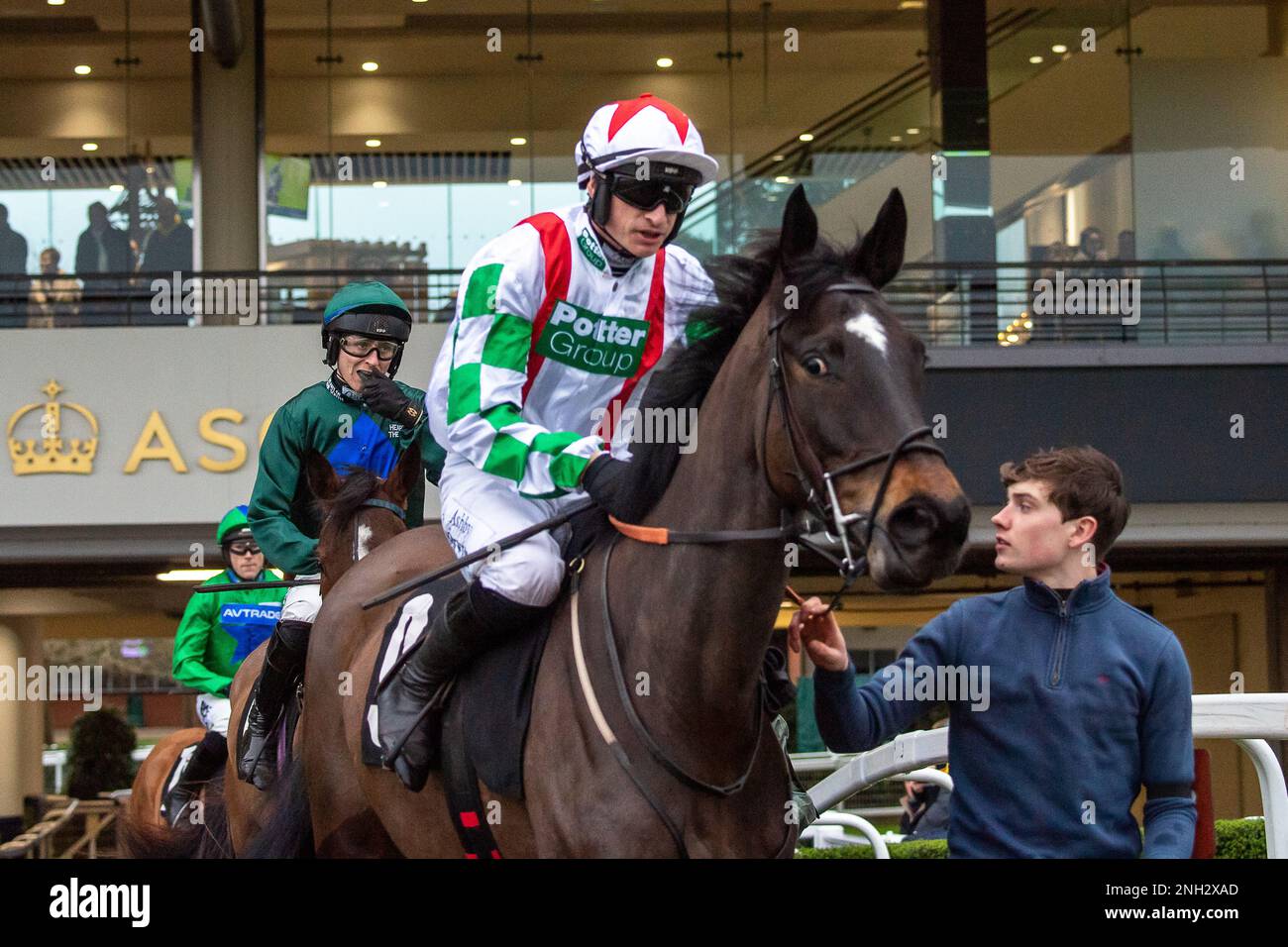 Ascot, Berkshire, Regno Unito. 20th febbraio, 2023. Horse Spring Gale, guidato dal jockey Tom o'Brien, si dirige verso l'ippodromo per la corsa Open National Hunt Flat Race dell'EBF Mares, il fondo britannico per gli allevatori europei, all'ippodromo Ascot di Betfair Ascot Chase Raceday. Credito: Maureen McLean/Alamy Foto Stock