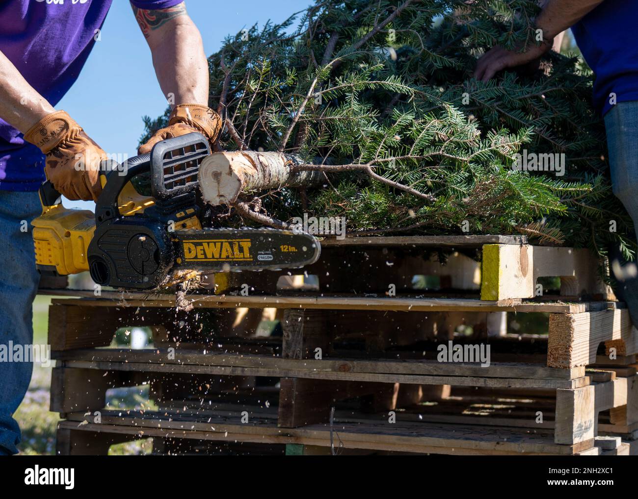 Brad Mennis, un volontario per gli alberi per le truppe, taglia un albero durante l'evento alla base dell'aeronautica militare di MacDill, Florida, 8 dicembre 2022. Alberi per le truppe hanno donato oltre 400 alberi per servire i membri e le loro famiglie, reso possibile da volontari e sponsor in tutto il paese. Foto Stock