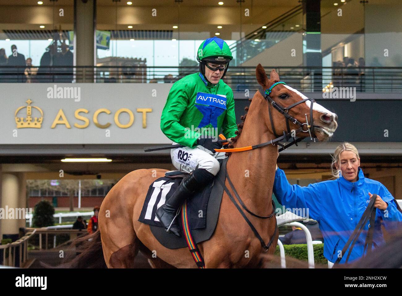 Ascot, Berkshire, Regno Unito. 20th febbraio, 2023. Horse Whispering Gold, guidato dal jockey James Davies, si dirige verso l'ippodromo per la corsa Open National Hunt Flat Race dell'EBF Mares, il fondo britannico per gli allevatori europei, all'ippodromo Ascot di Betfair Ascot Chase Raceday. Credito: Maureen McLean/Alamy Foto Stock