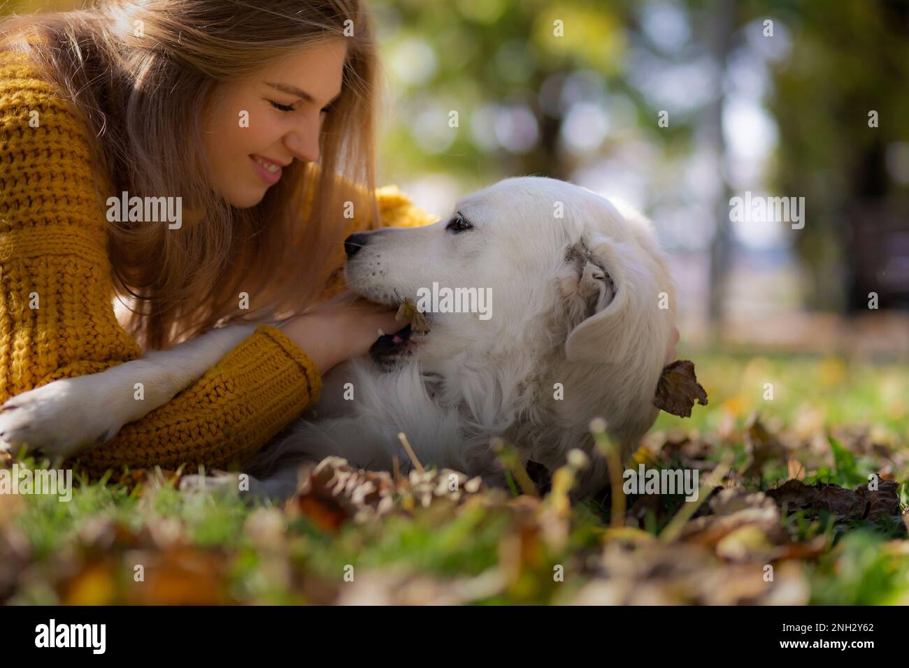 Belgrado, Serbia. Novembre 10th, 2022. Giovane donna allegra che gioca con il suo Golden Retriever nel terreno di un parco. Divertimento di una giornata di sole. Foto Stock