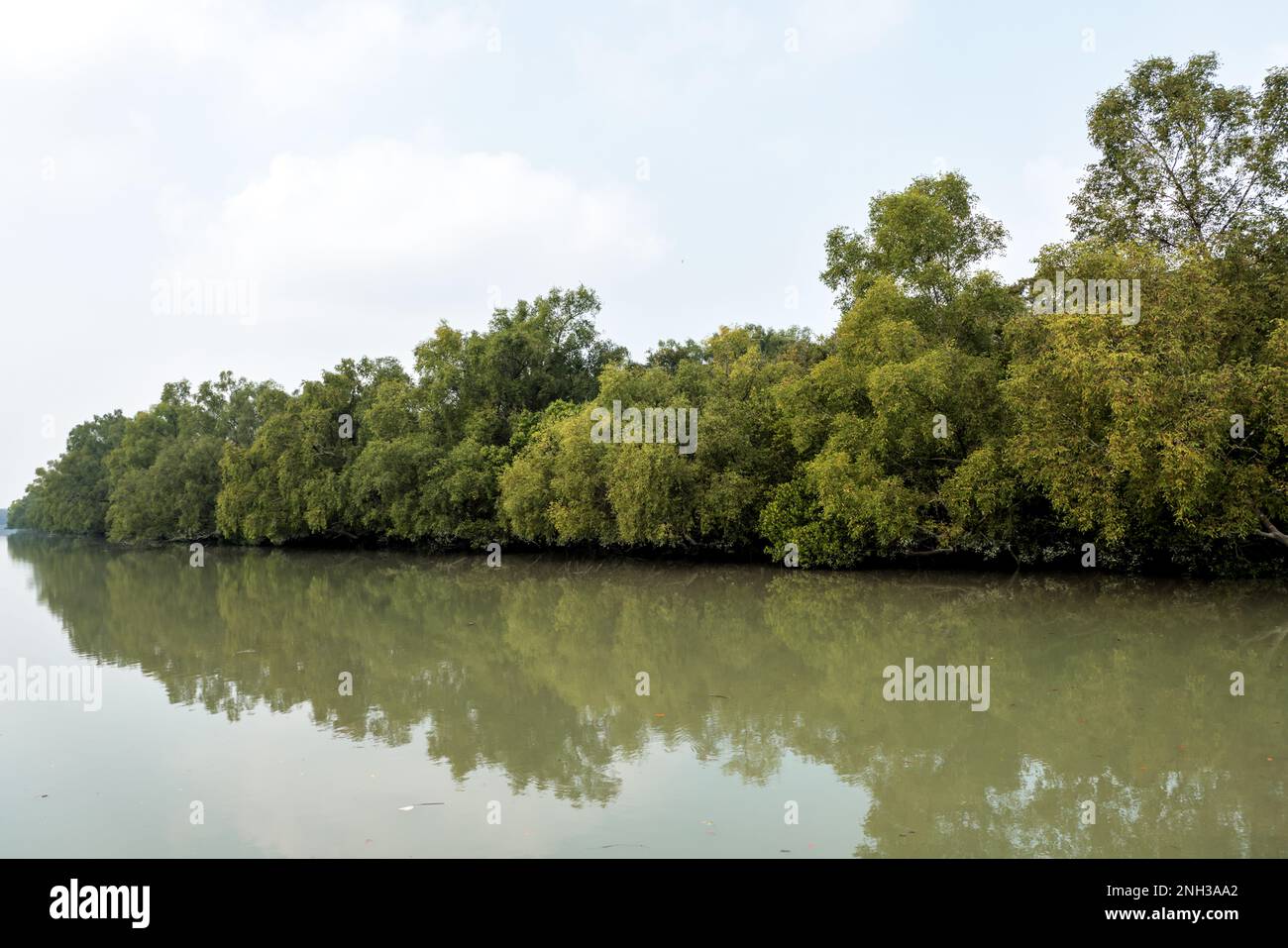 Sundarbans è un delta della foresta di paludi con una superficie di circa 10.200 kmq attraverso l'India e il Bangladesh. Questa foto è stata scattata dal Bangladesh. Foto Stock