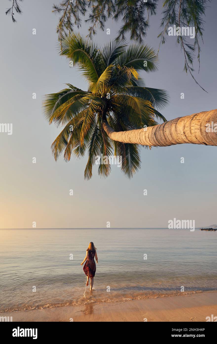 Donna felice sta correndo con gli spruzzi all'oceano sulla spiaggia tropicale vicino all'albero della palma dell'isola di Phi Phi nel sud della Thailandia. Rivista di viaggio vacatio Foto Stock