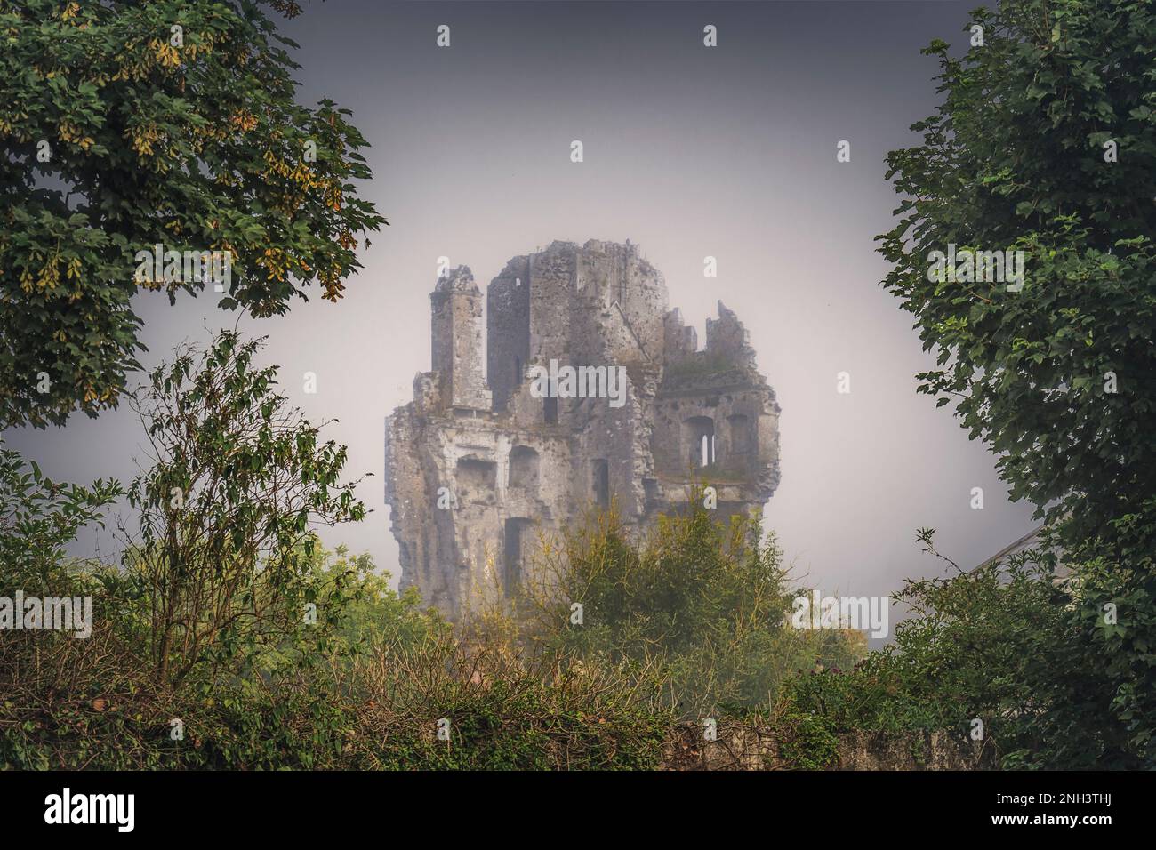 Rovine del castello di Desmond sul fiume Deel ad Askeaton, co Limerick, Irlanda Foto Stock