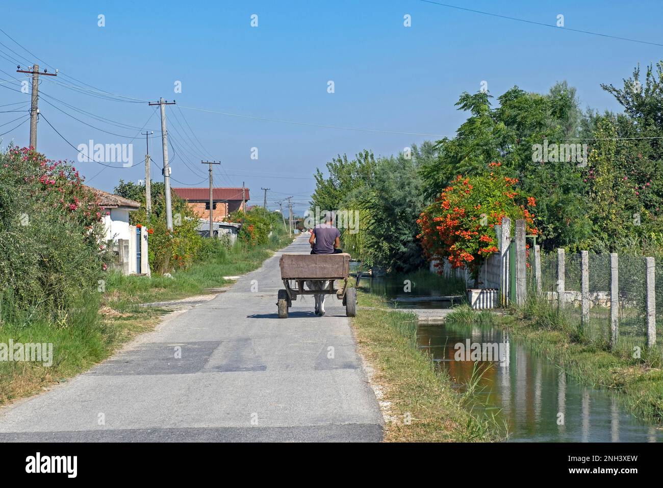 Uomo albanese carretto trainato da asino nel villaggio rurale nel nord dell'Albania in estate Foto Stock