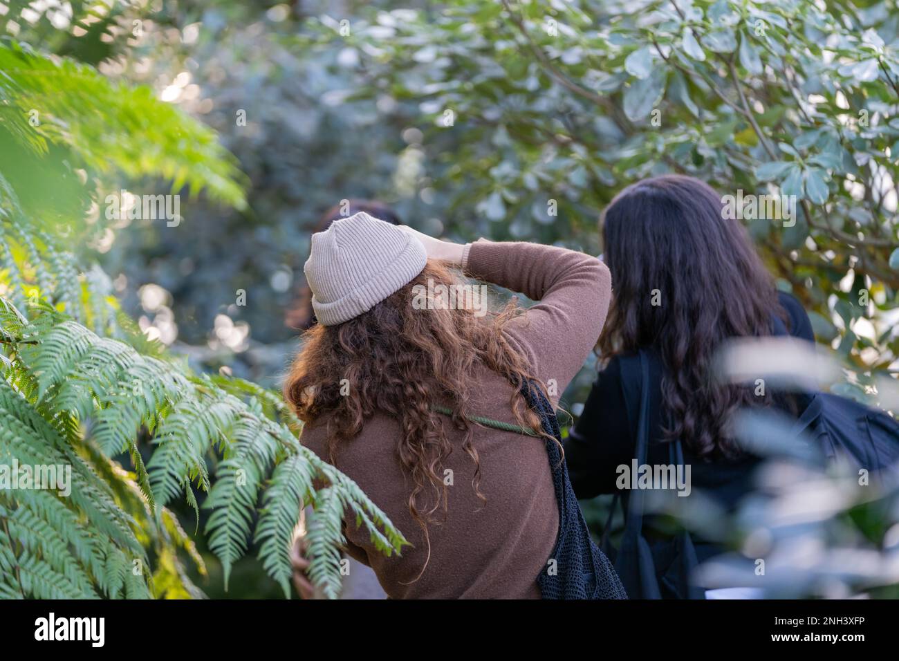 Giovane donna in una casa verde circondata da piante tropicali. Concetto di felicità e stile di vita. Foto Stock