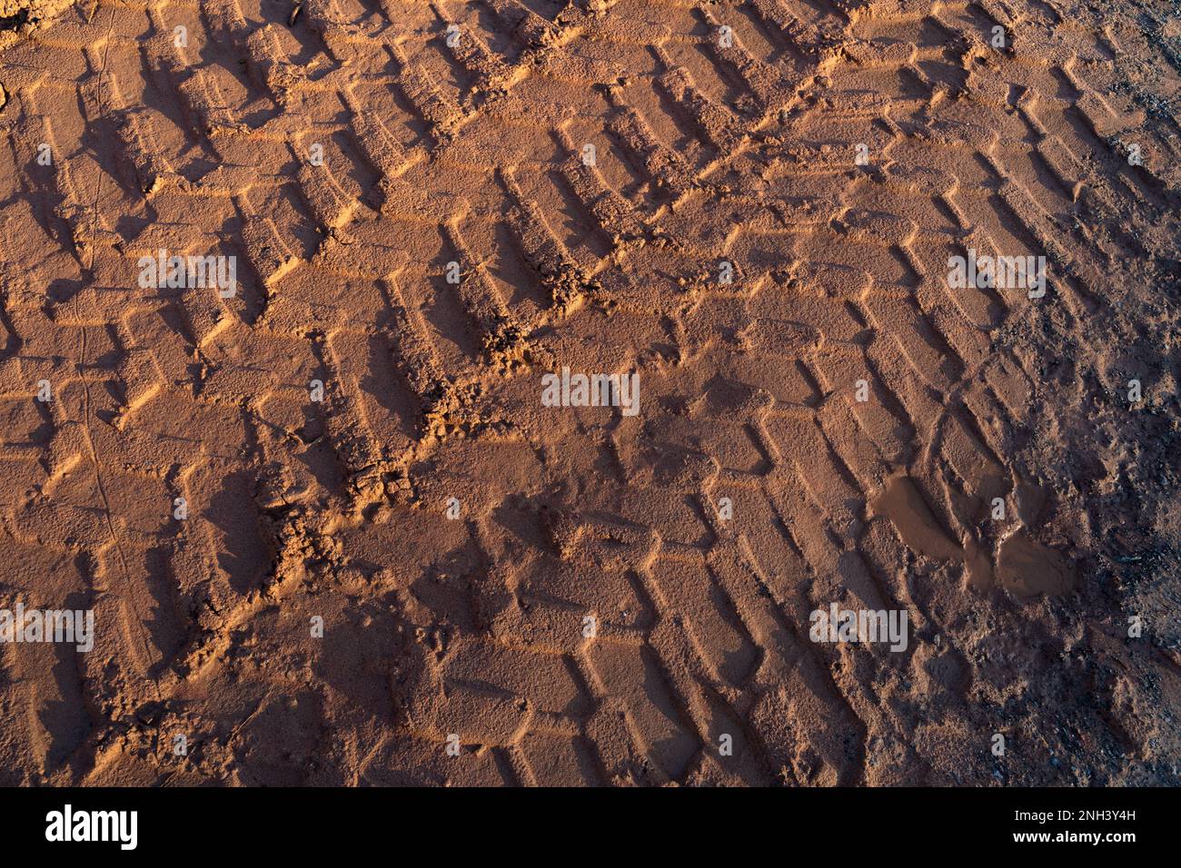 I cingoli dei pneumatici della pala caricatrice gommata sono nella sabbia Foto Stock