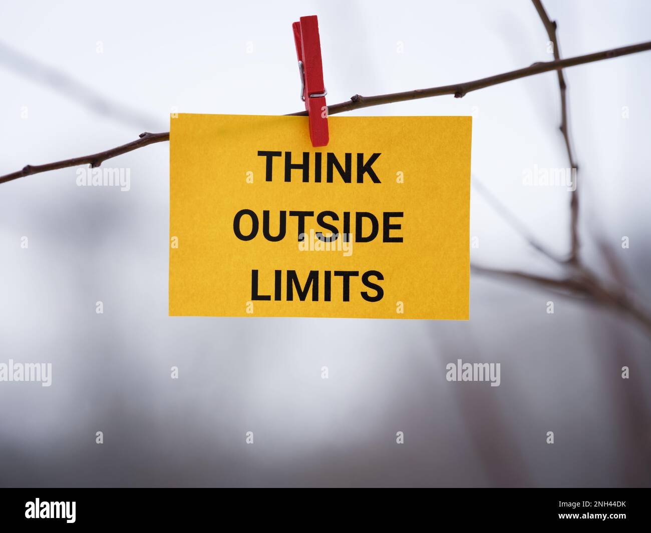 Una nota di carta gialla con la frase Think outside limits su di essa attaccata ad un albero con un spilla vestiti. Primo piano. Foto Stock