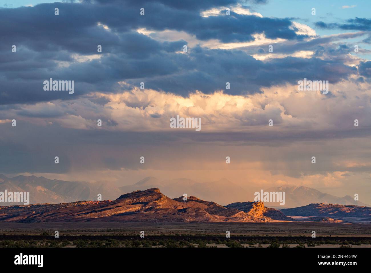 Le nuvole di Cumulus si costruiscono con la pioggia che oscura parzialmente le montagne la SAL nella stagione dei monsoni nel deserto. Moab, Utah. Foto Stock