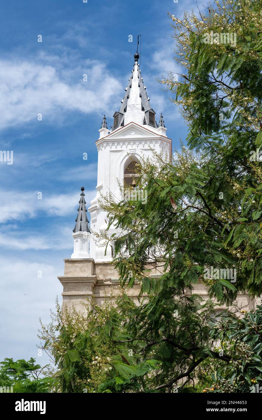 Il campanile della Chiesa Soledad Vista Hermosa con un albero guaje a San Agustin Etla, Oaxaca, Messico. Foto Stock