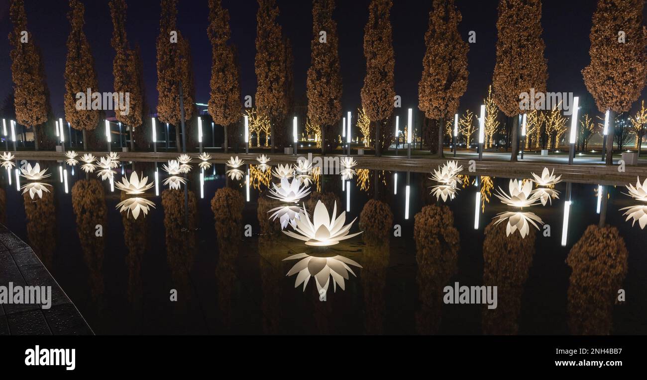 Russia, Krasnodar - 04 gennaio 2023: Lampade-fiori lotte bianche sull'acqua nel parco della Galizia. Querce piramidali sullo sfondo Foto Stock