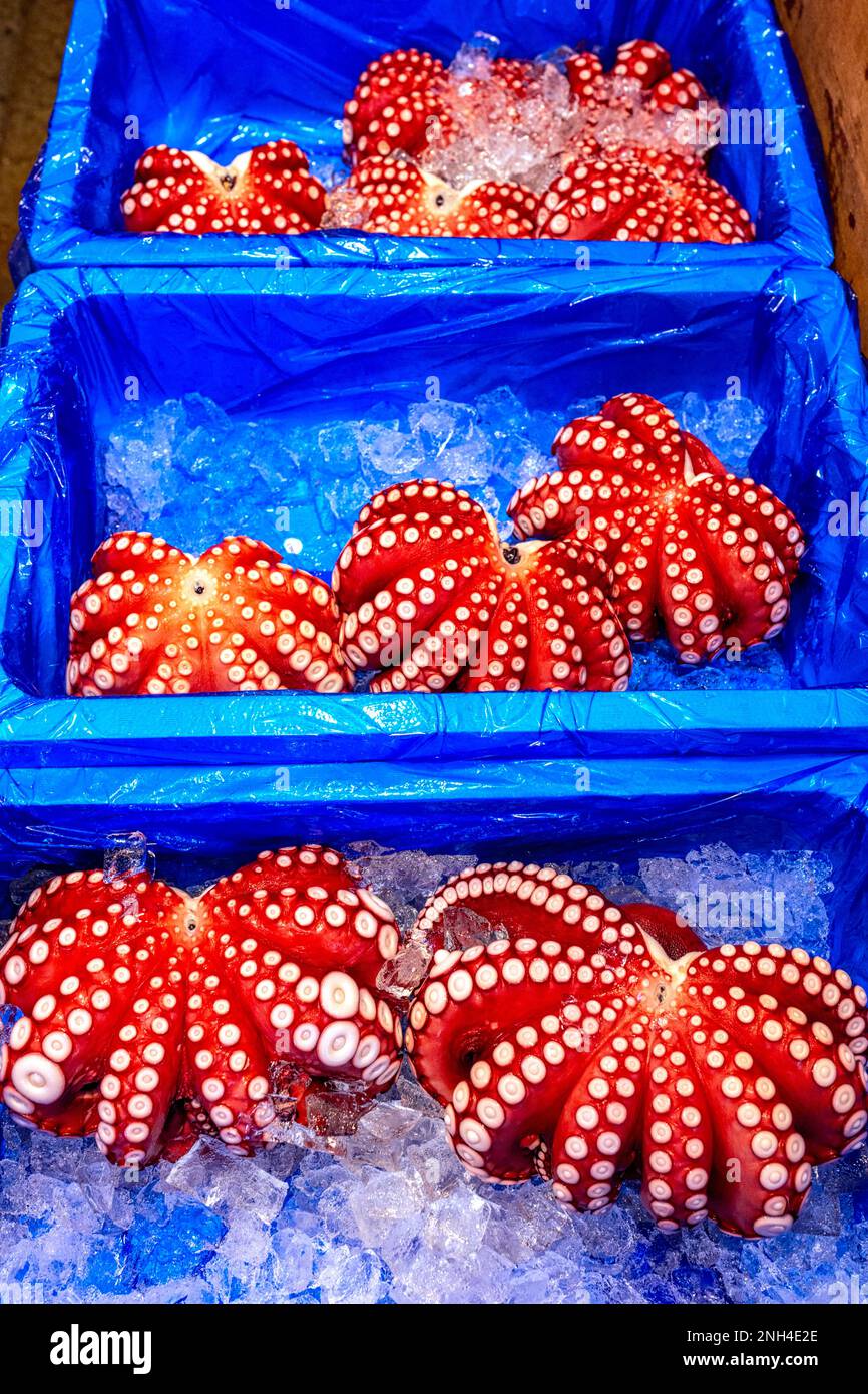 Tokyo Giappone. Mercato Del Pesce. Polpo Foto Stock