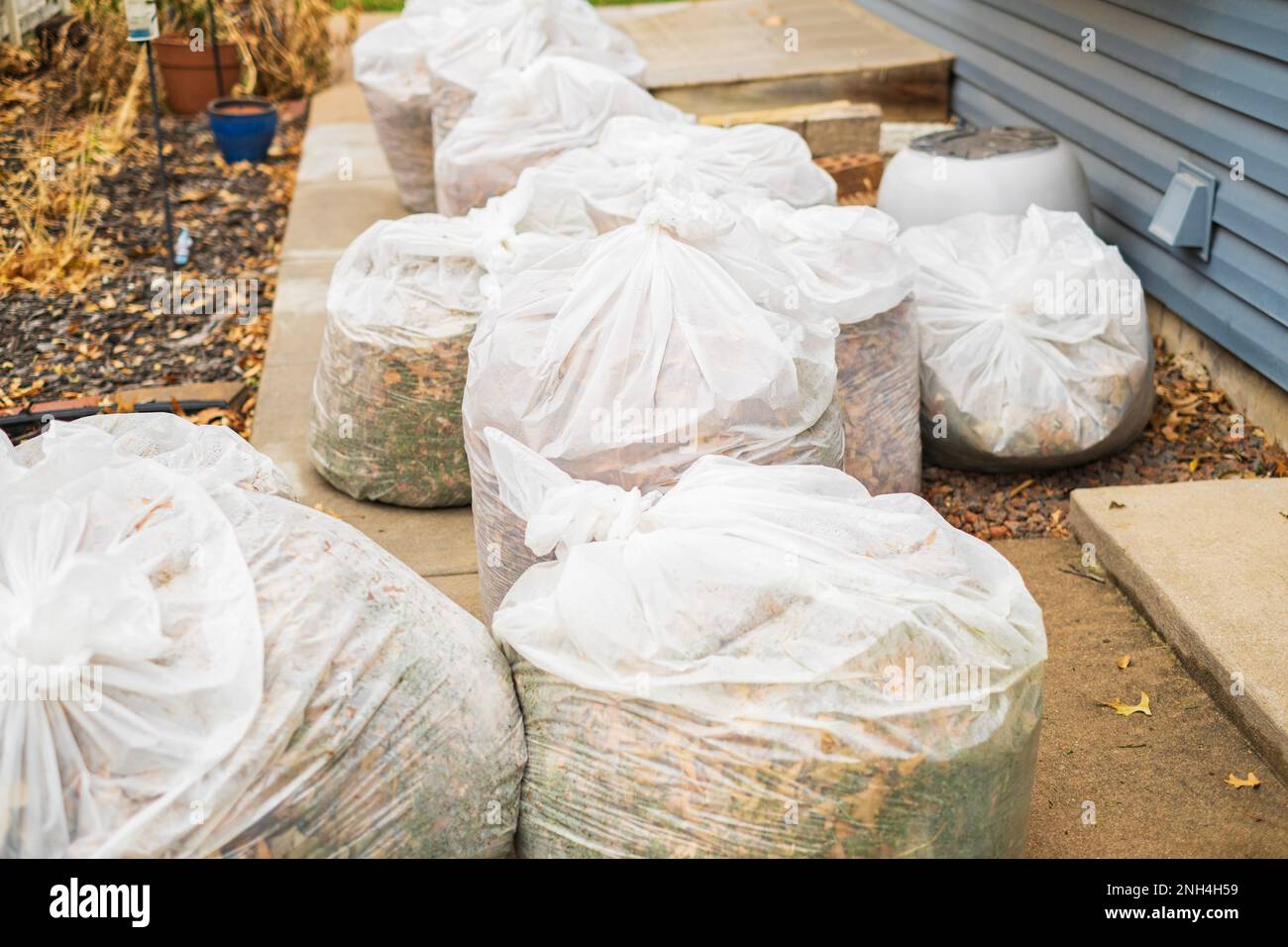 Grandi sacchetti bianchi del prato pieni delle foglie raccolte dopo un lavoro di giardinaggio. STATI UNITI. Foto Stock