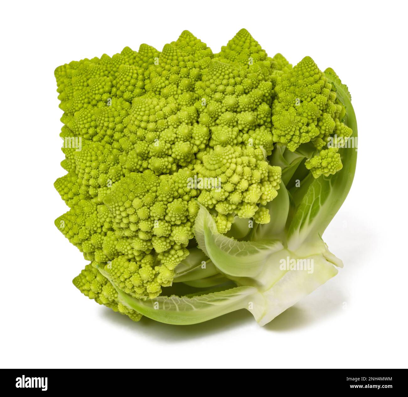 Romanesco broccoli isolato su fondo bianco Foto Stock