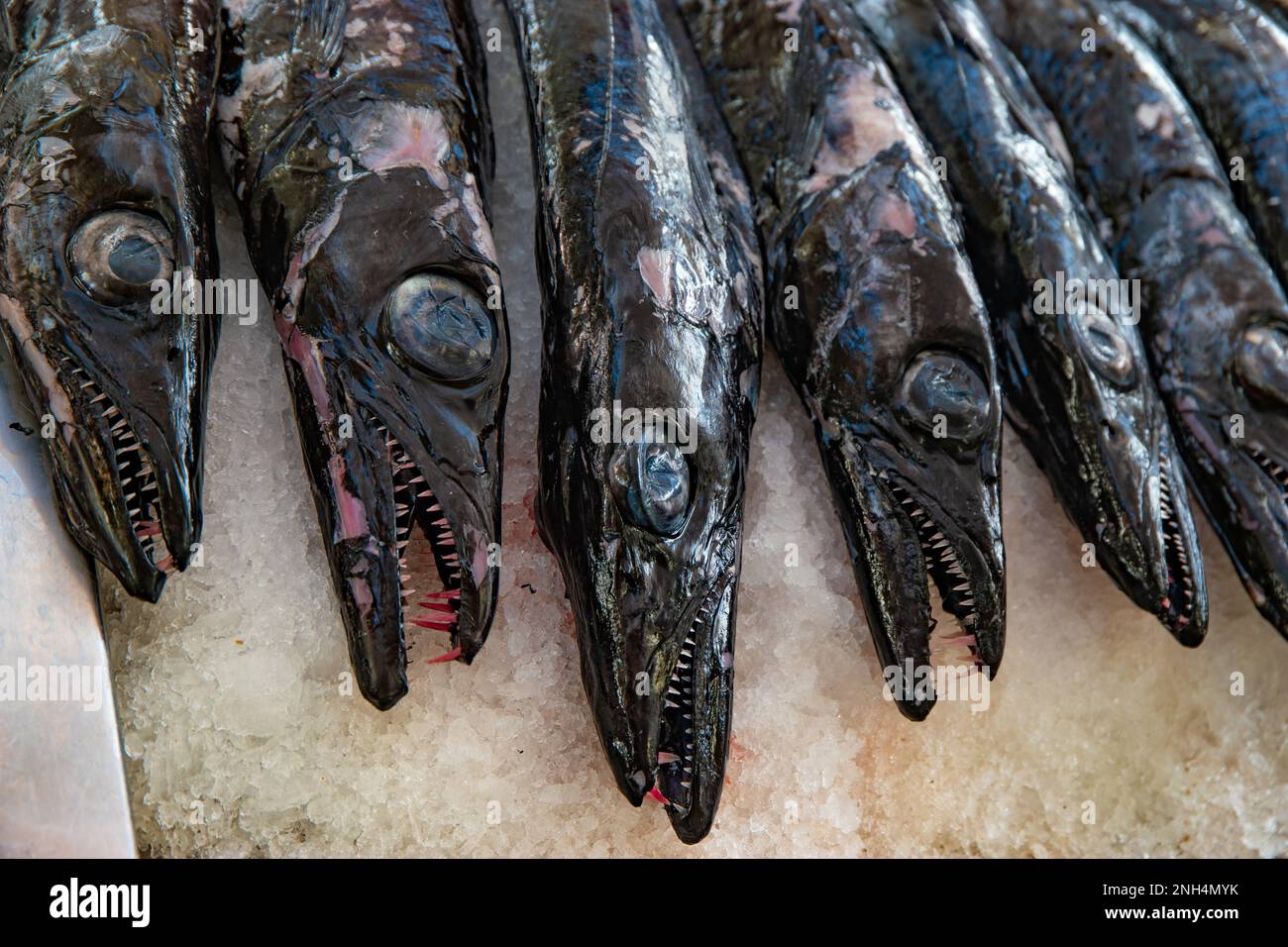 Pesce sciabola nero su ghiaccio al mercato del pesce Funchal Foto Stock