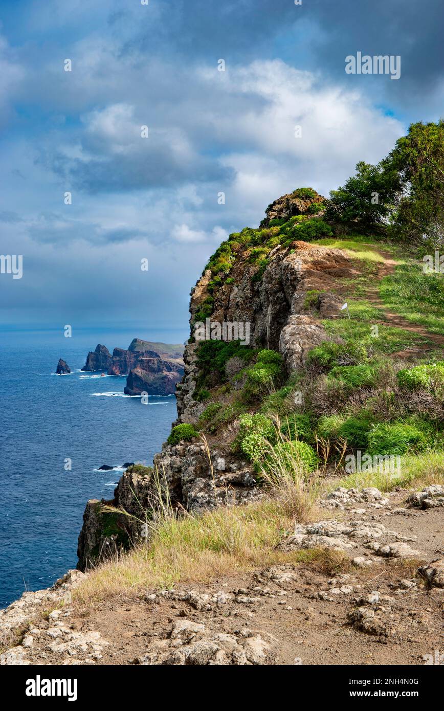 La passeggiata a nord-est della scogliera di Madeira, Porto da Cruz a Canical Foto Stock